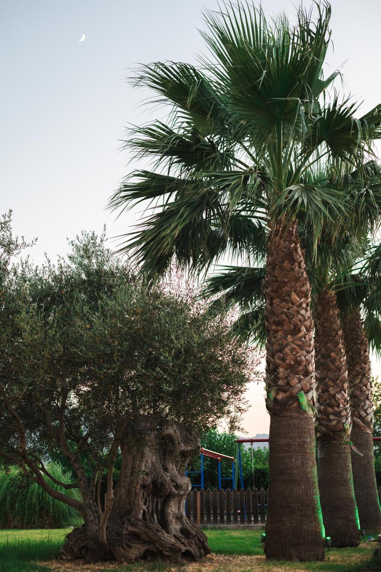 Aparthotel Village & Family 3*
